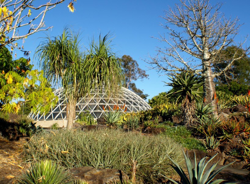 Brisbane Botanic Gardens Mt Coot-tha, Australia